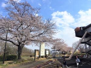 ネイチャーセンター桜