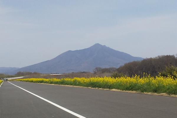 サンプル画像2