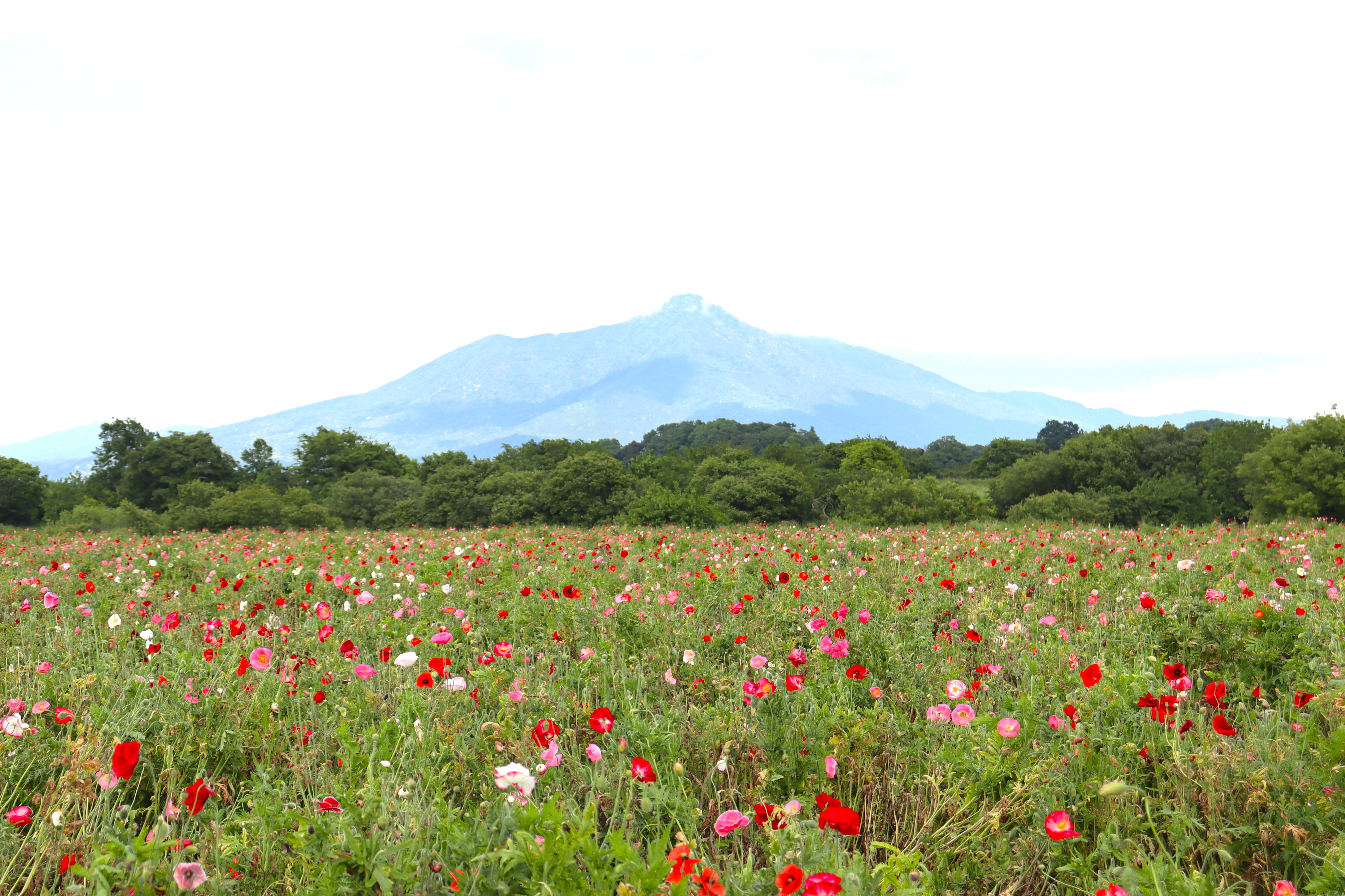 小貝川1