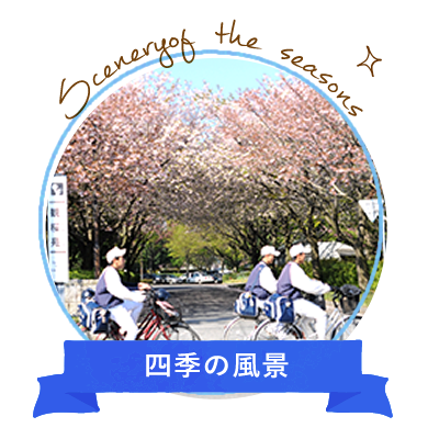 四季の風景