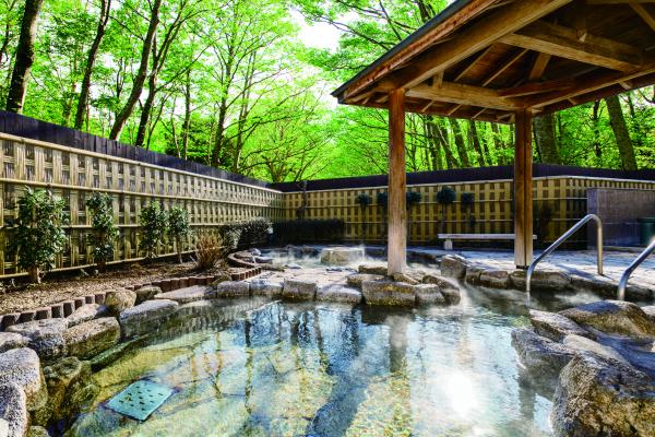 The Oldest "Hachiman-Sama" in the Kanto Region [Daiho Hachimangu Shrine Route]に関するページ