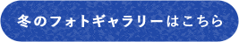 冬のフォトギャラリー