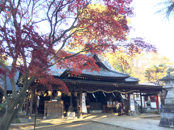 サンプル画像1