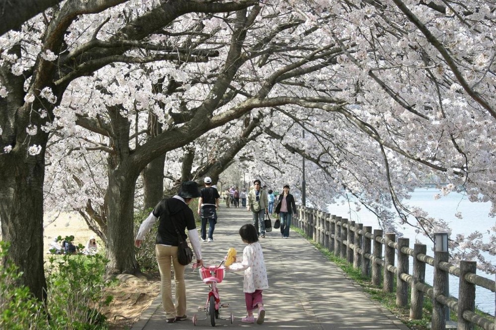 砂沼広域公園01