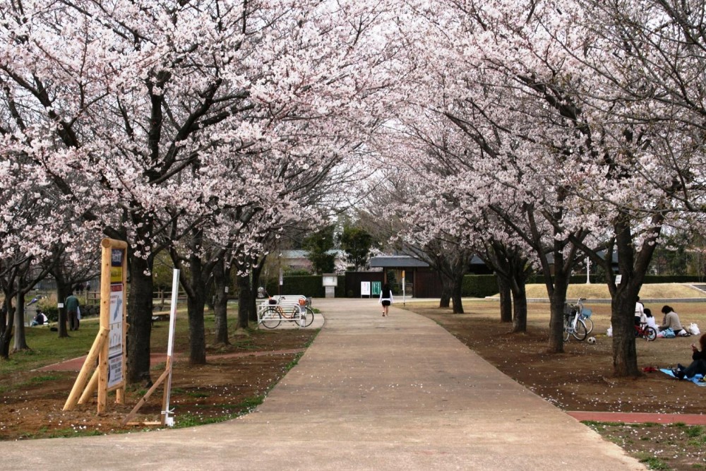 砂沼広域公園02