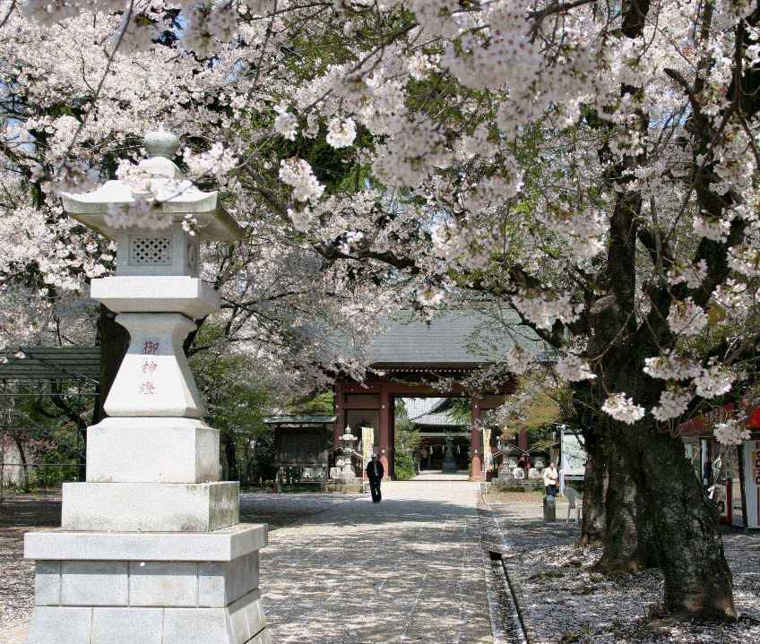 大宝八幡宮　春の例大祭01