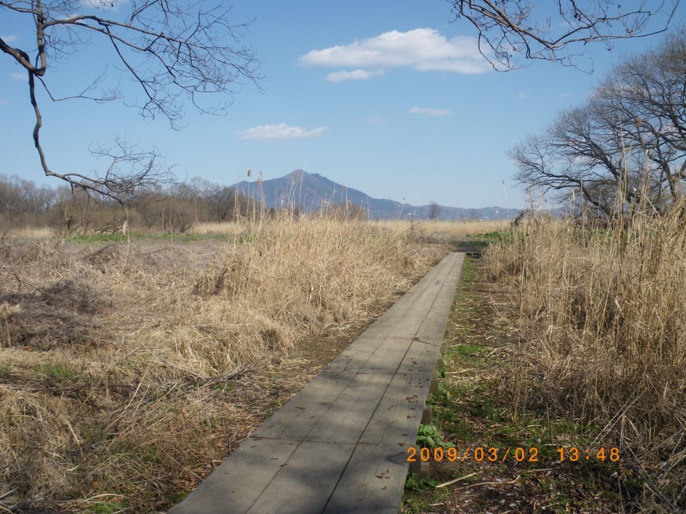 小貝川ふれあい公園自然散策路01