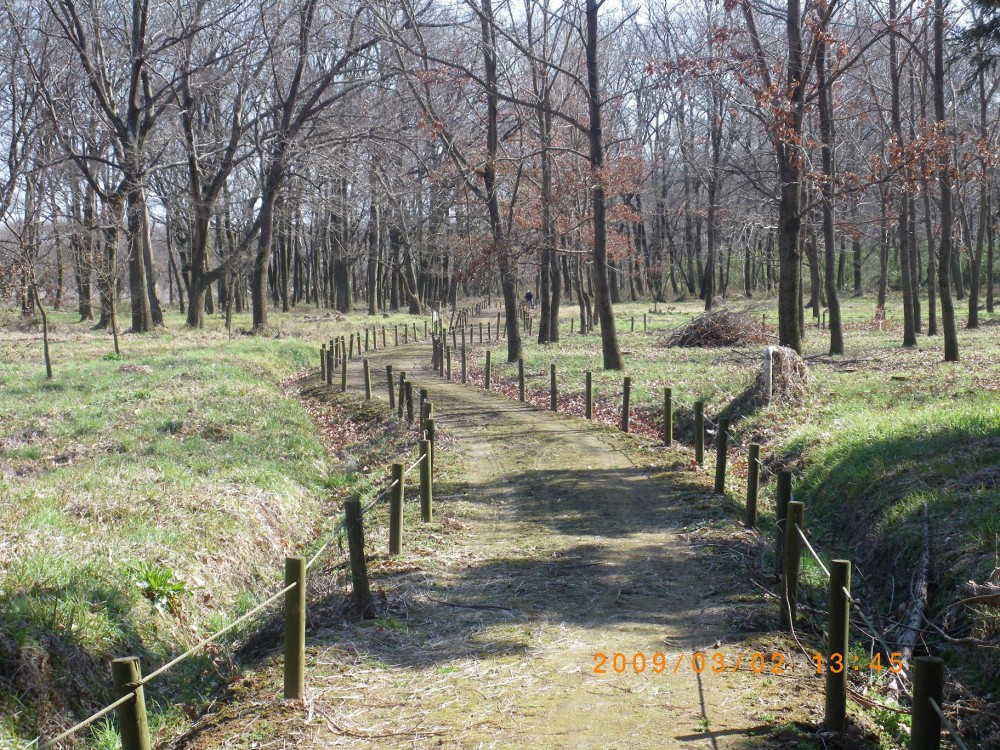 小貝川ふれあい公園自然散策路02