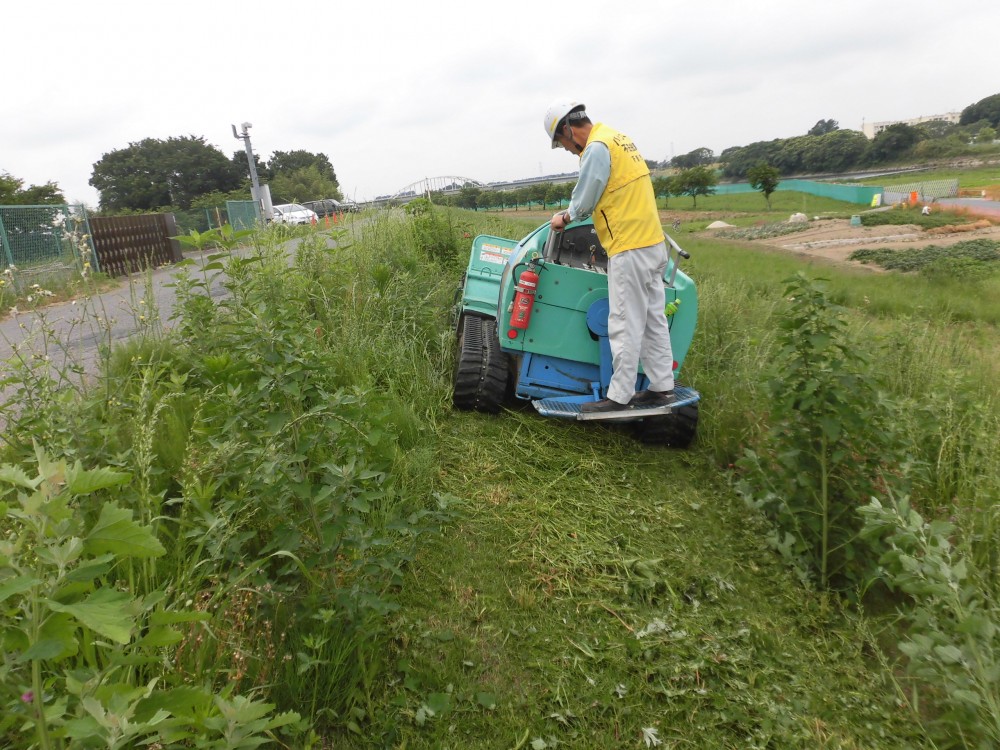 除草作業中